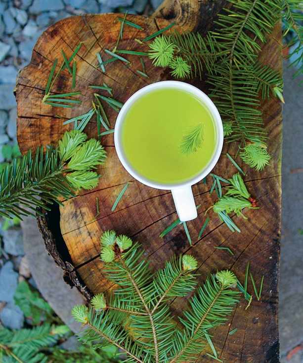 Brew your own tea