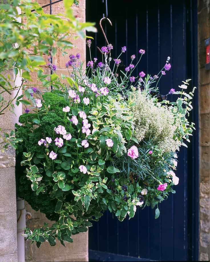 Hanging basket next to doorway