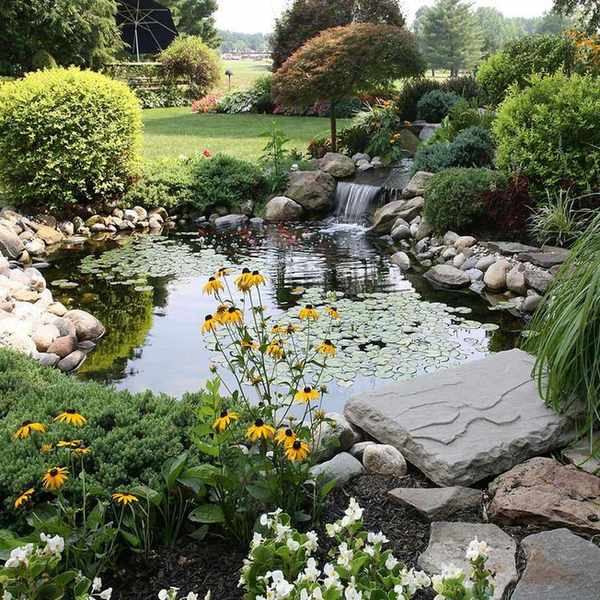 Oxygenating pond plants