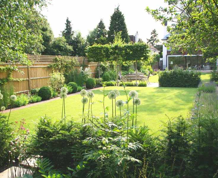 5 Expert Strategies to Achieve a Lush, Green Lawn