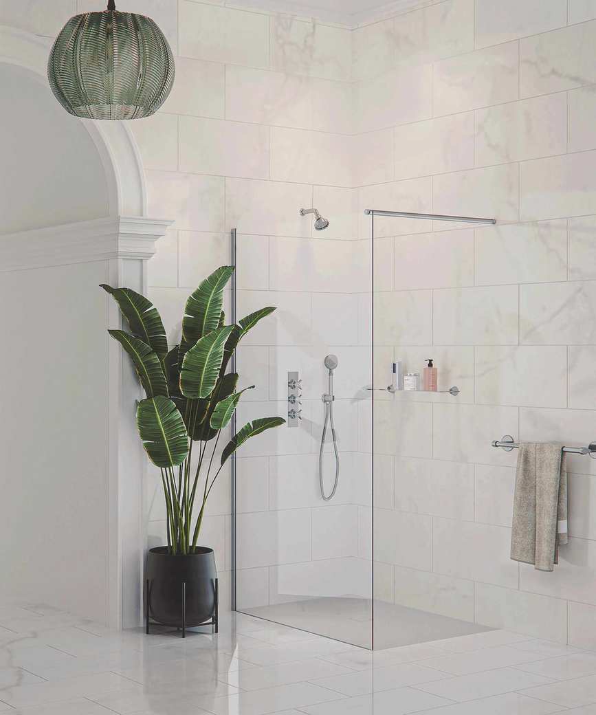 Wet room with plant and glass shower screen