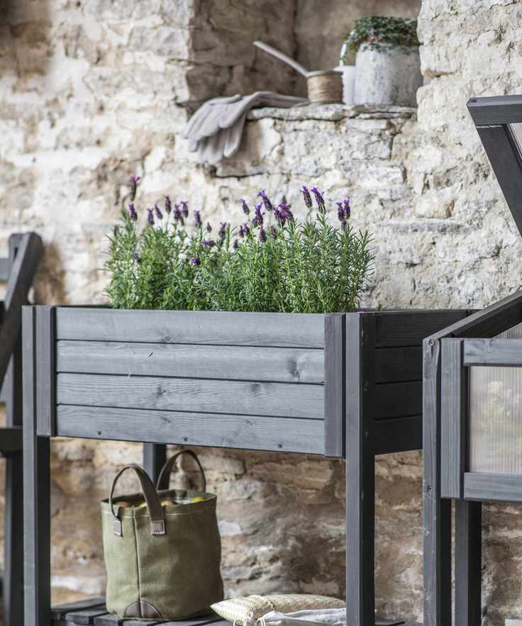 Herb gardening mistakes