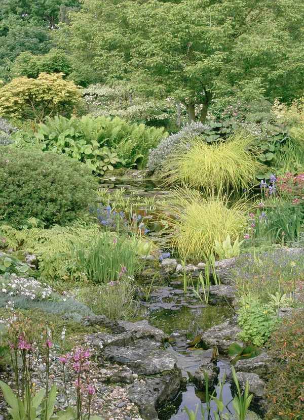 Rock garden surrounding pond and stream