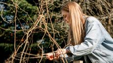 Woman in blue denim jacket and long hair placing natural jute twine around hazel wigwam