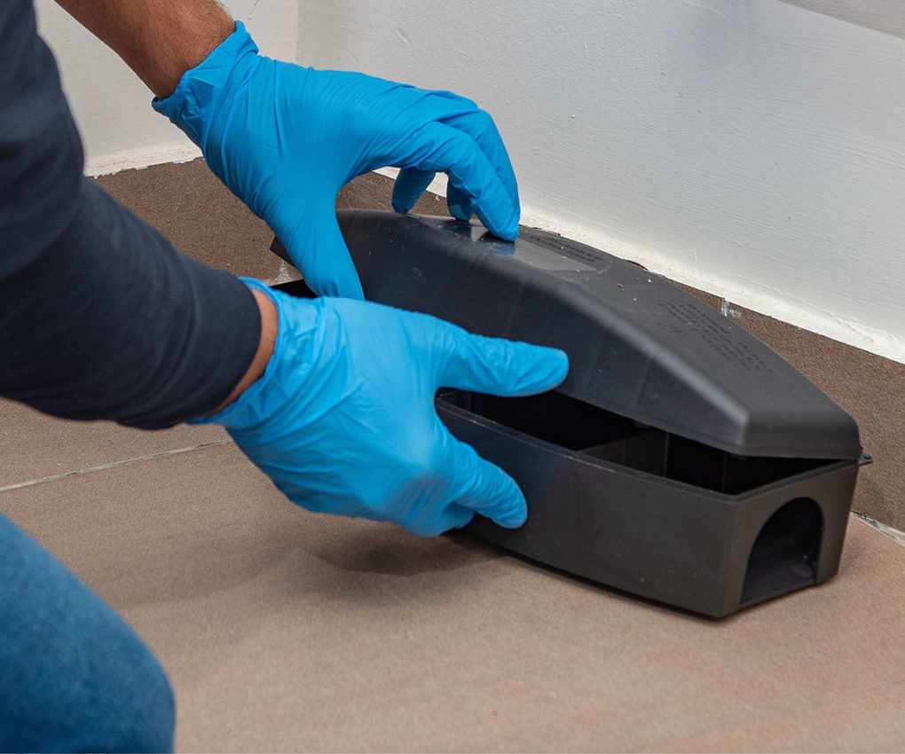 Setting a mouse trap