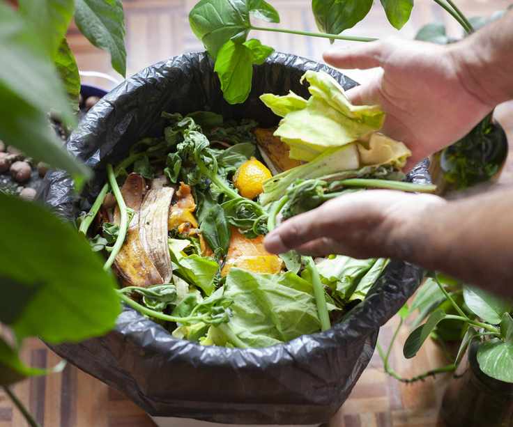 Compost bin