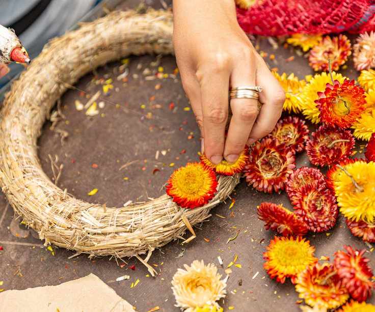 Crafting a wreath with straw flowers