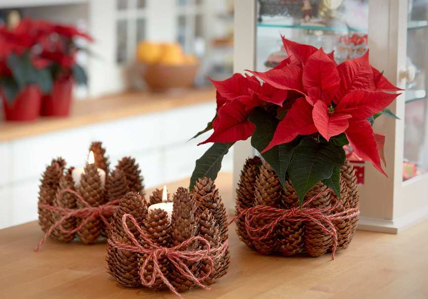 Pine cone wrapped pot