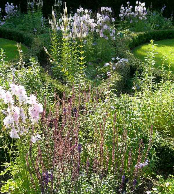 parterre garden planted within the border with a range of flowers, annuals and perennials in a design by Richard Miers