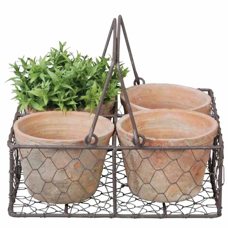 four terracotta pots in a wire holder