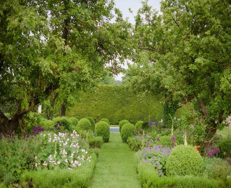 An example of how to landscape a backyard showing a grass walkway surrounded by flower beds and trees