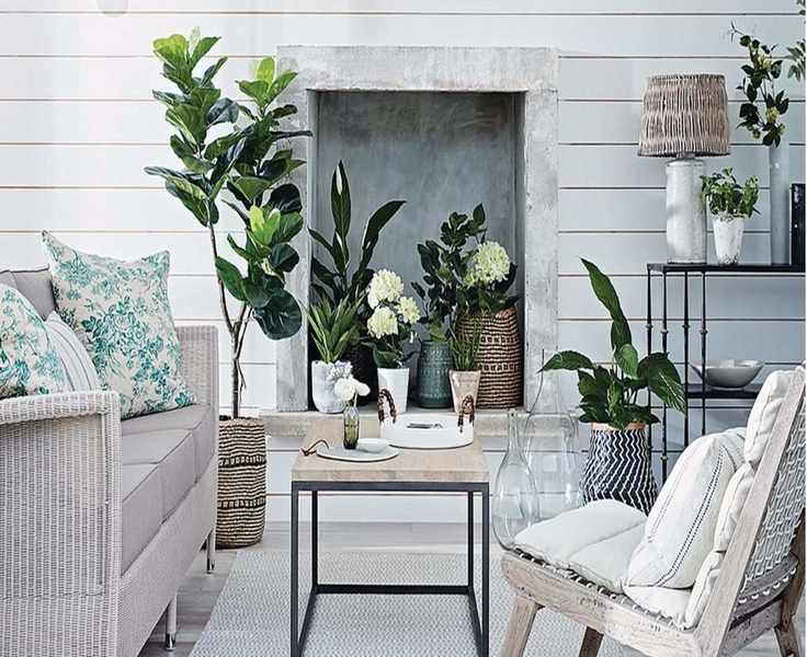 Why Your Houseplant Leaves Turn Brown and How to Fix It