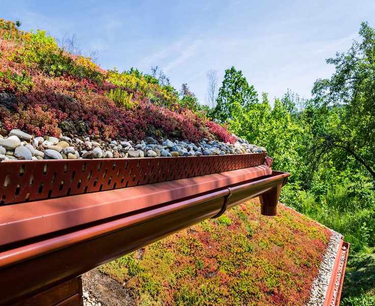 Extensive green ecological living sod roof covered with vegetation