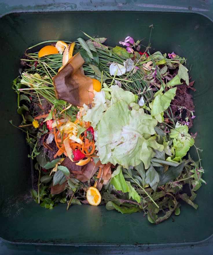 Vegetable peel