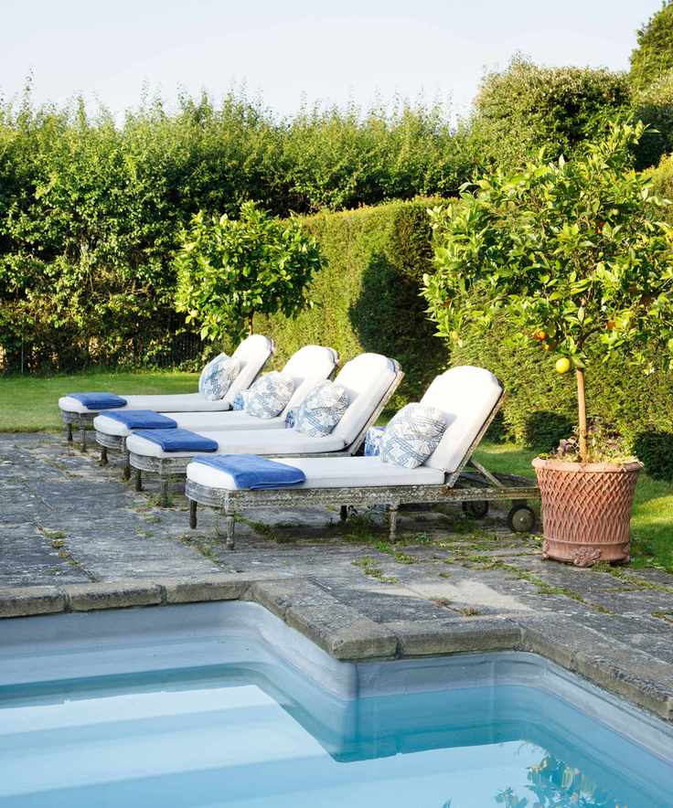 pool patio with container citrus tree in garden