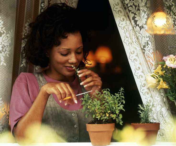Woman smelling oregano plant