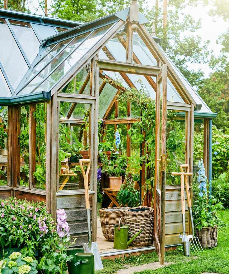 Shed