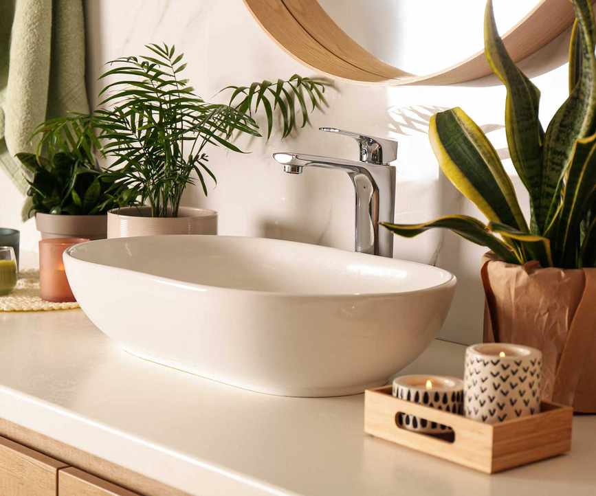 bathroom sink and houseplants