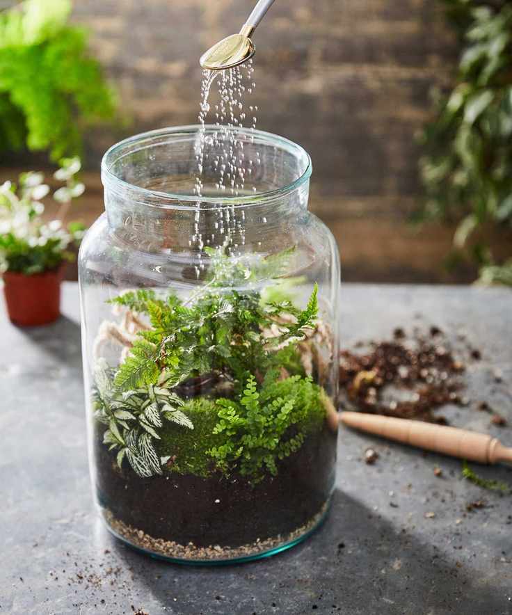 Person watering a terrarium