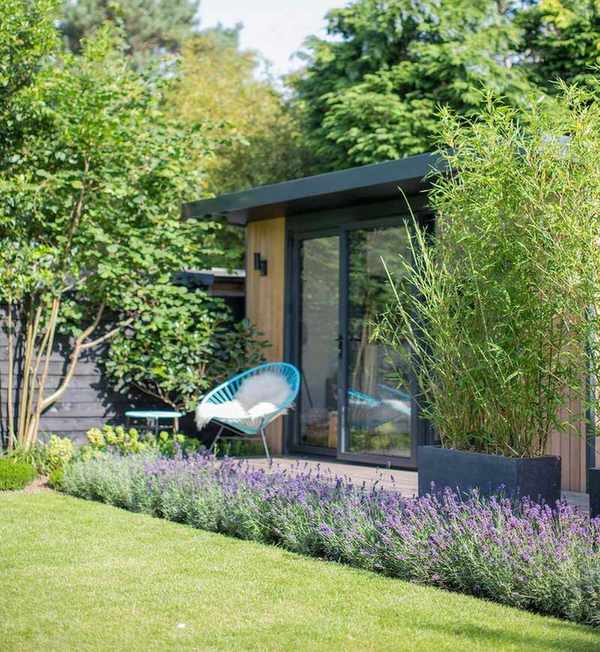 garden with bamboo in pots