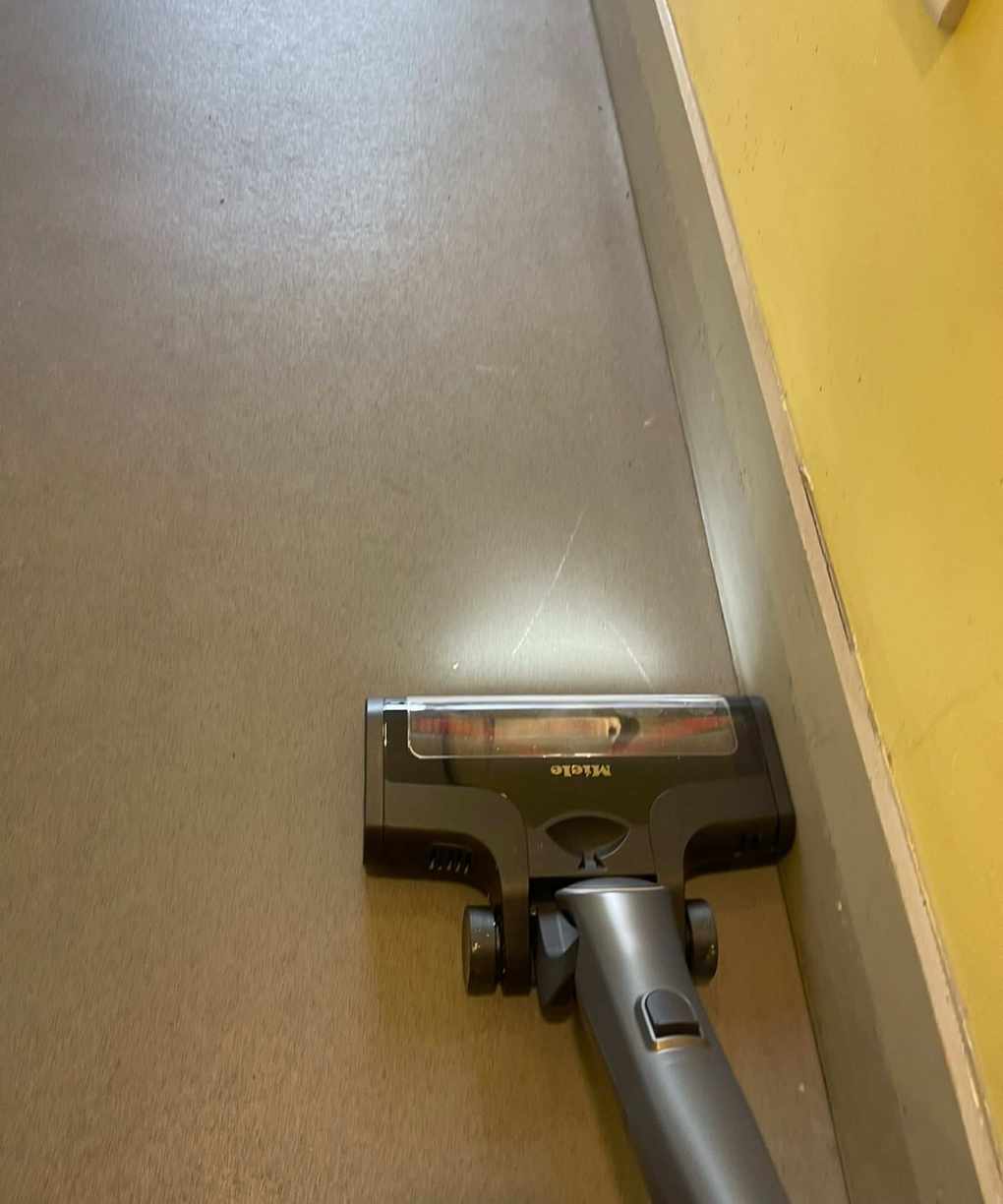 Miele Triflex HX2 Pro vacuuming in a pet shelter