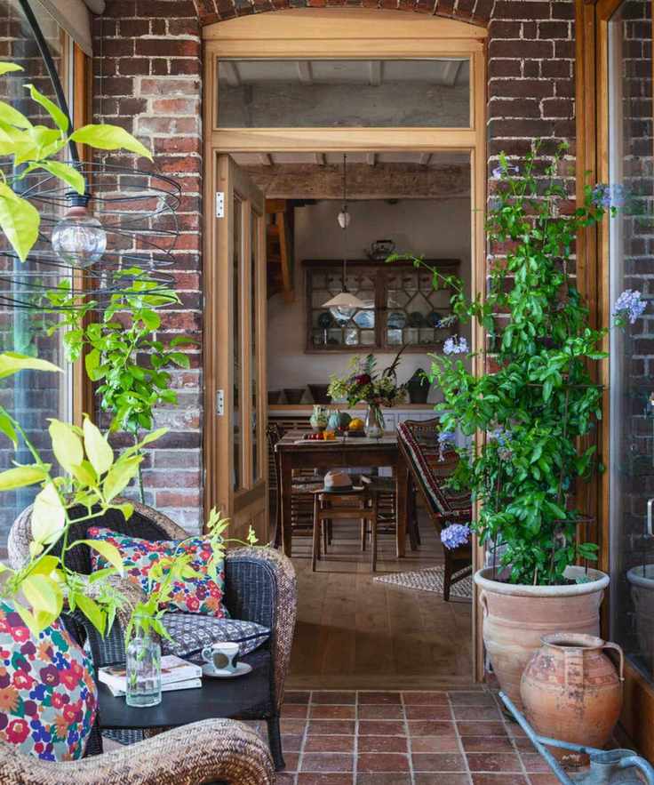 View into a kitchen through a doorway with a range of houseplants leading up to it