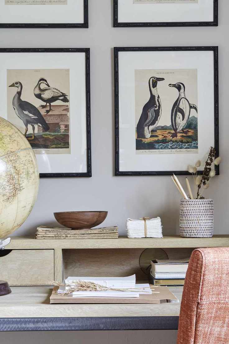 Framed bird pictures, wooden desk, orange chair