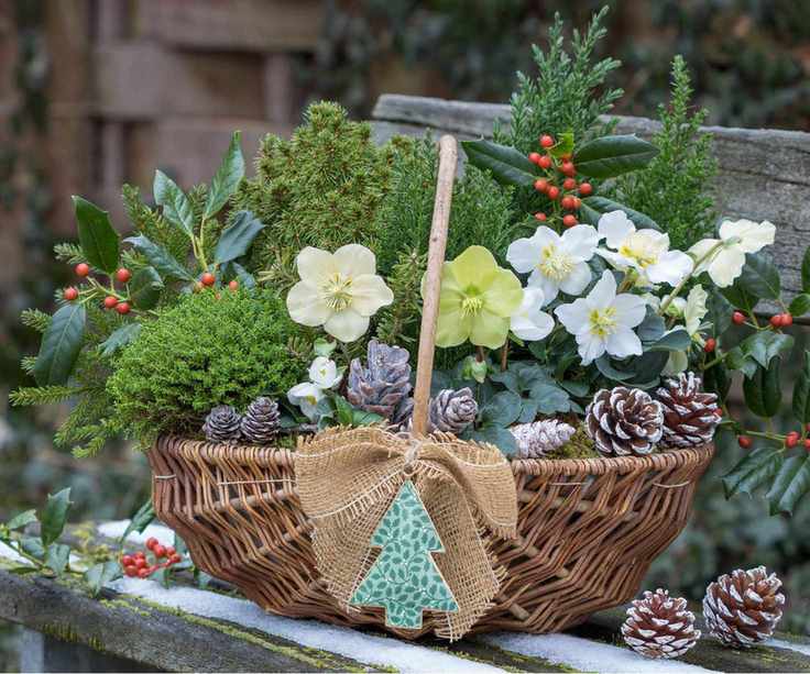 Christmas container