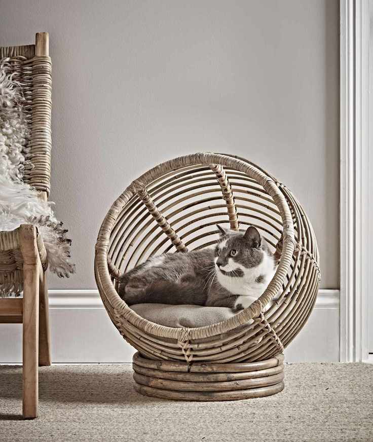living with pets
