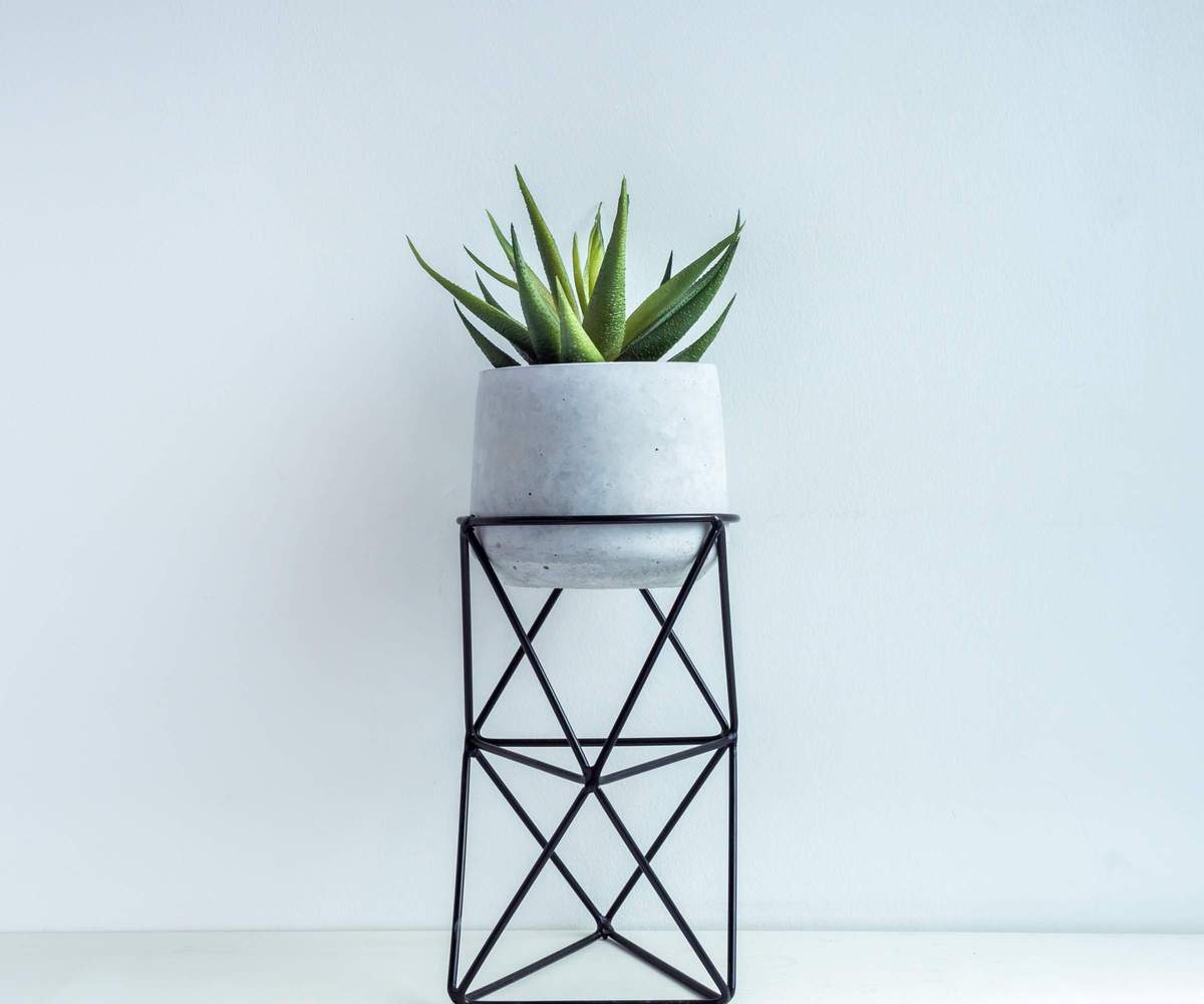 Black metal plant stand