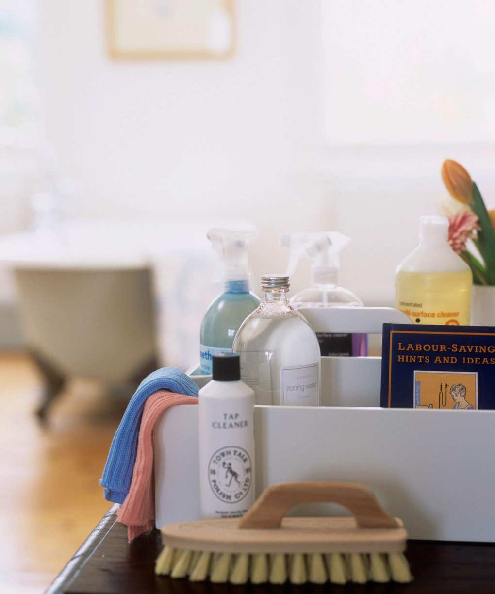 Bathroom detail assorted cleaning products scrubbing hand brush lint free cloths bottles various cleaners sprays detergents tap cleaner