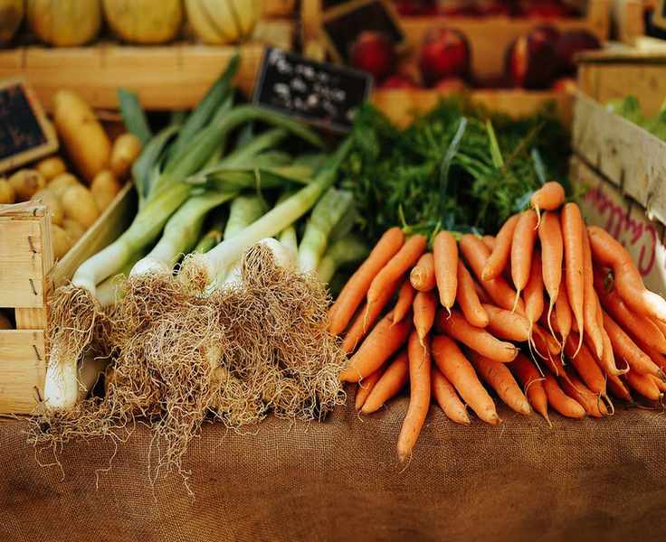 Carrot companion planting unsplash peter wendt