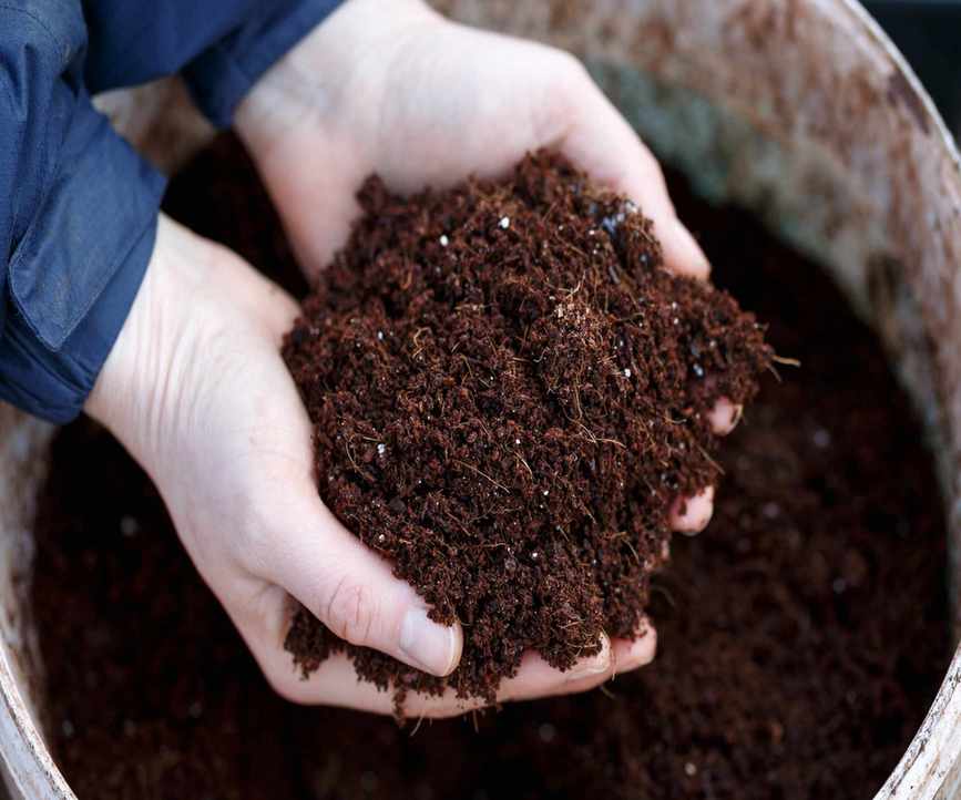 Hands holding peat-free compost