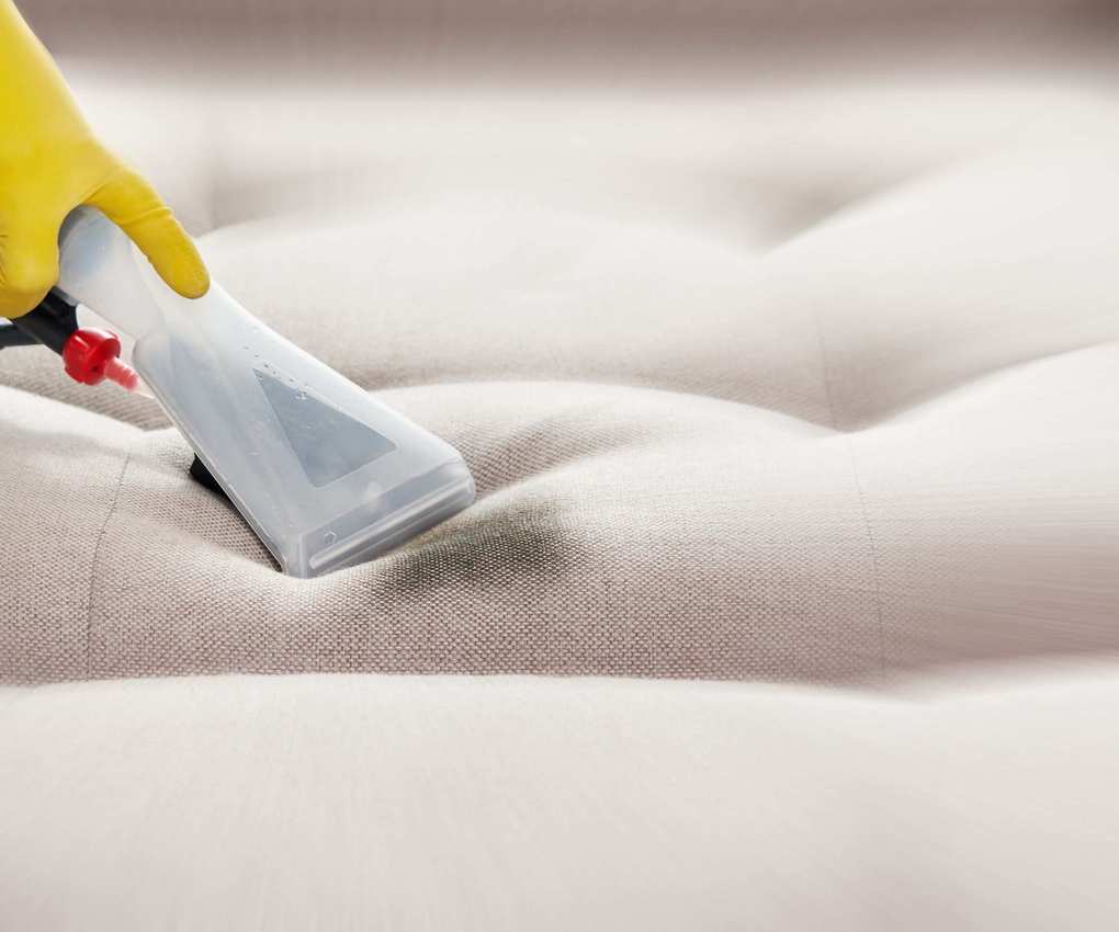 Someone using a steam cleaner on couch cushions