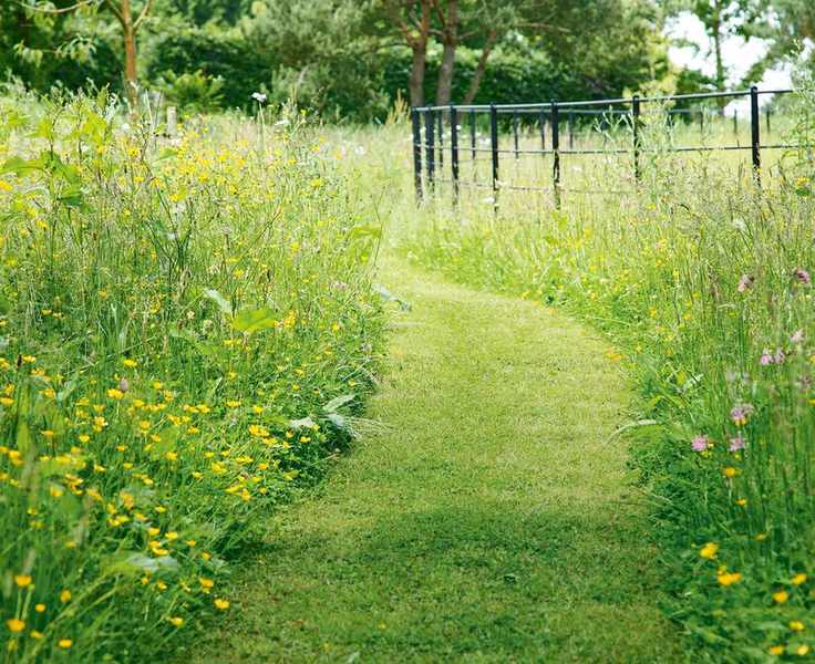 Garden edging ideas
