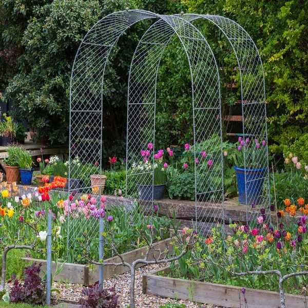Tulip test beds grown by Zinnia Design