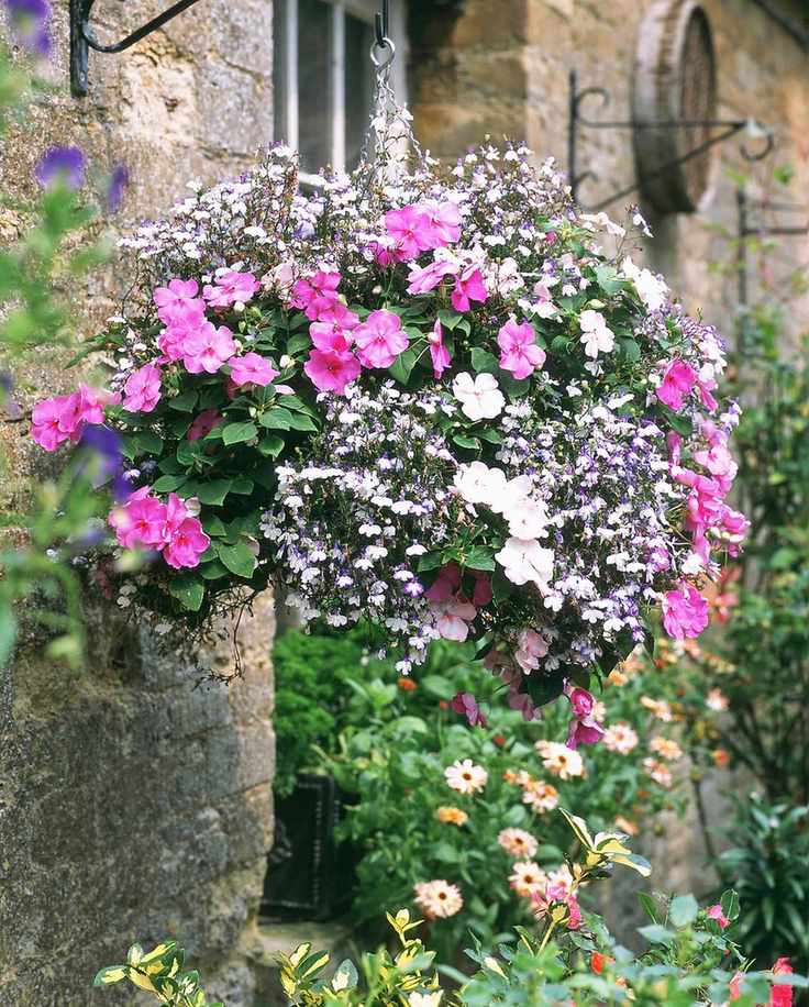 Cottage garden hanging basket
