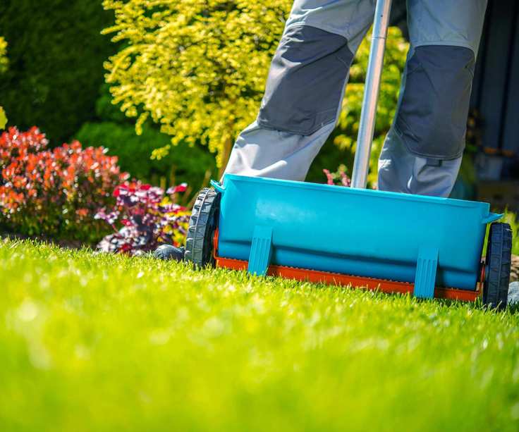 Fertilizing a lawn