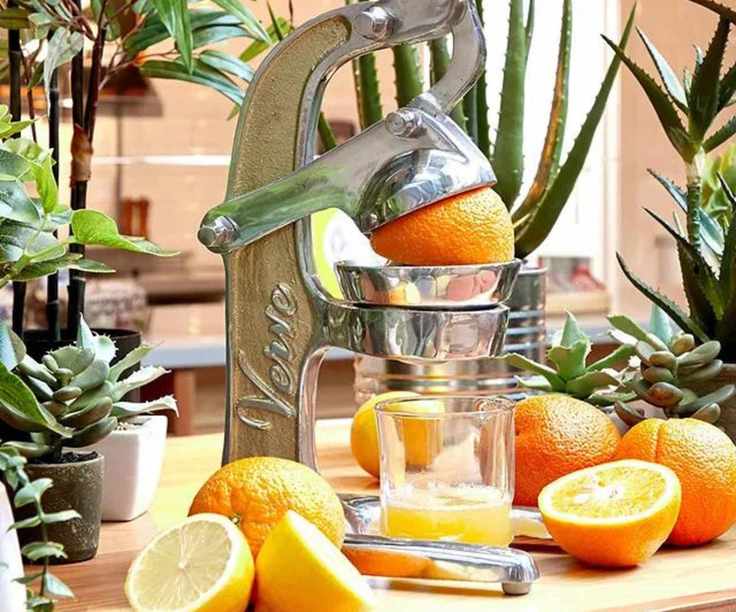 Verve Culture Citrus Juicer