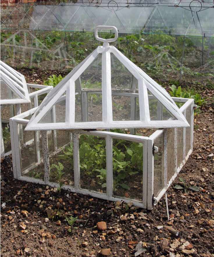 Glasshouse cold frame