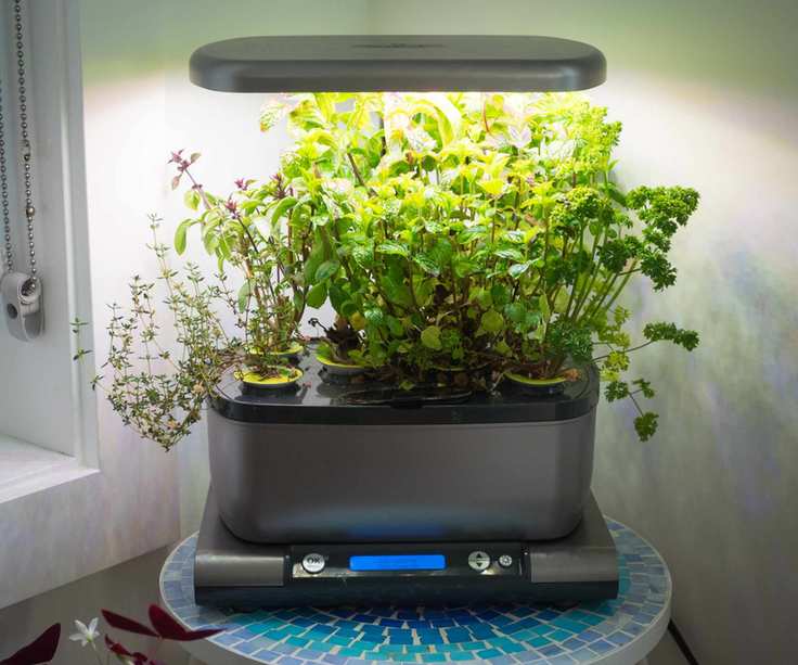 Hydroponic growing system