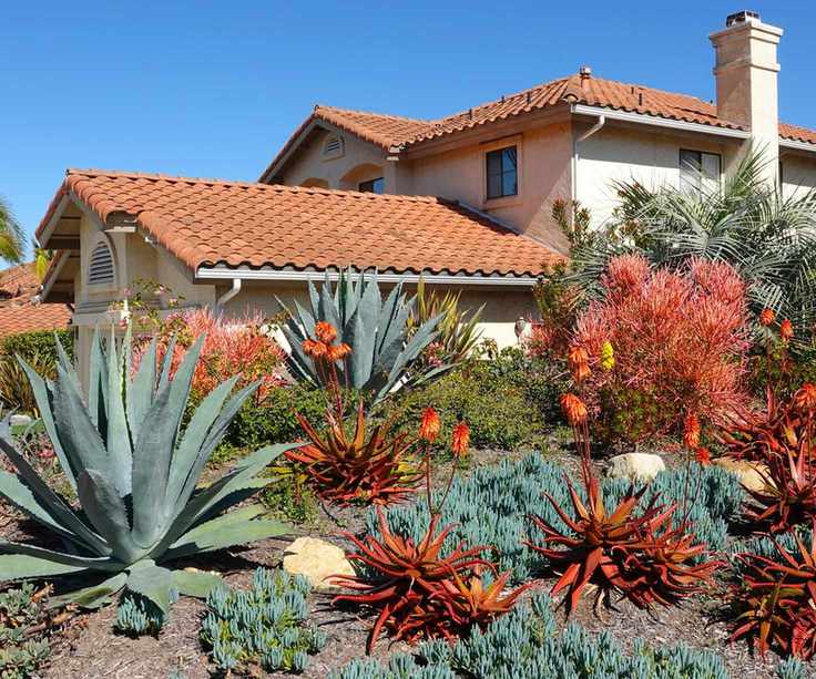 California drought tolerant landscaping