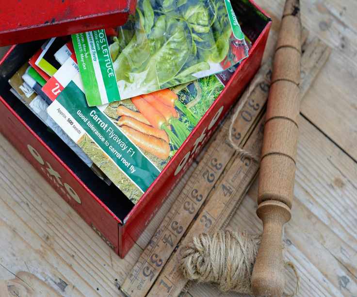 seed tin