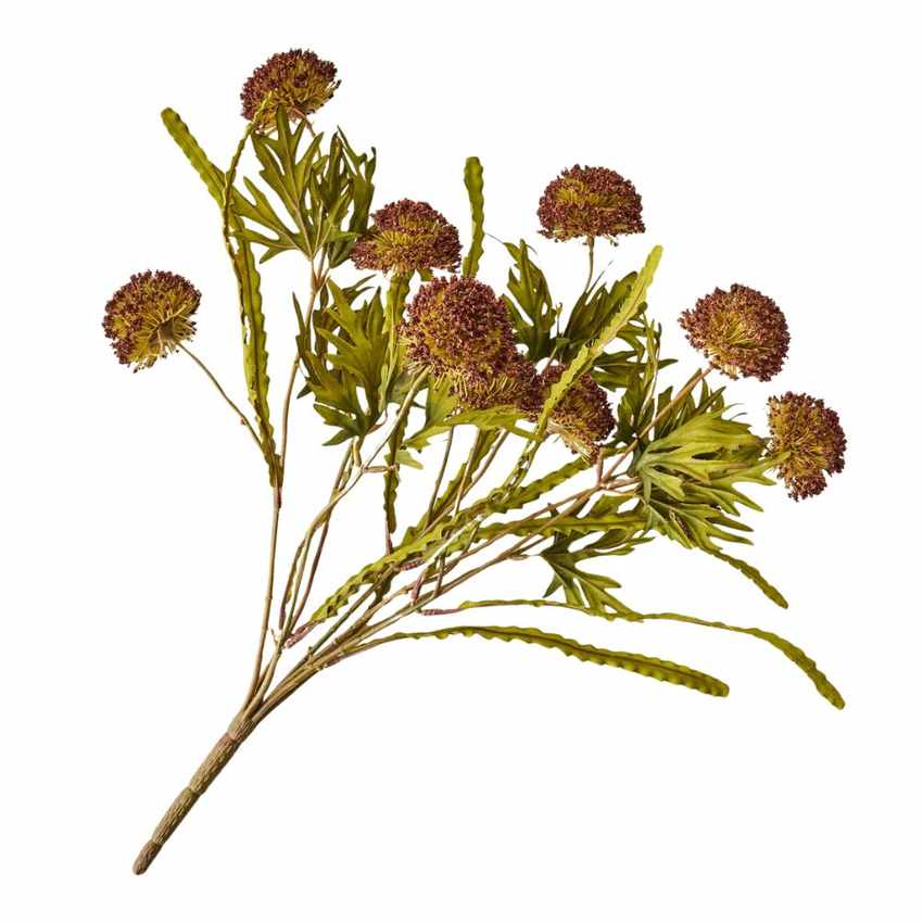 Large Thistle Bush Stems