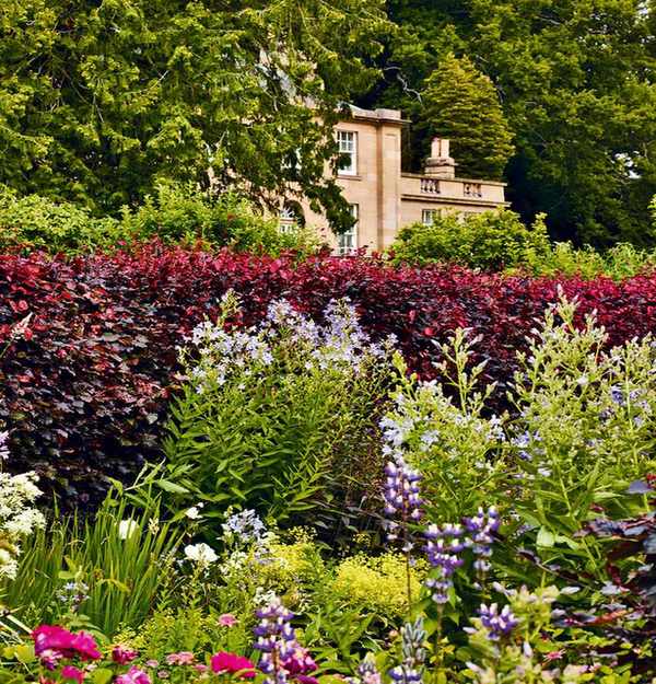 Instagram garden ideas
