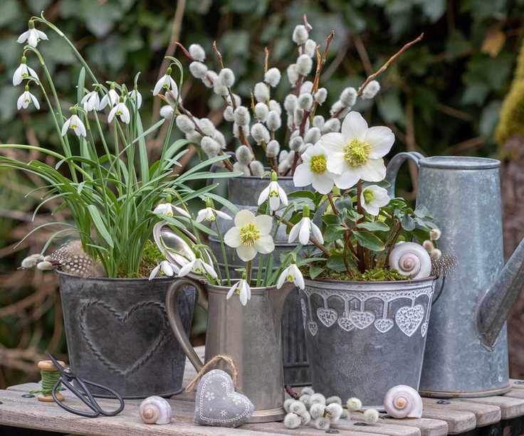 winter container display