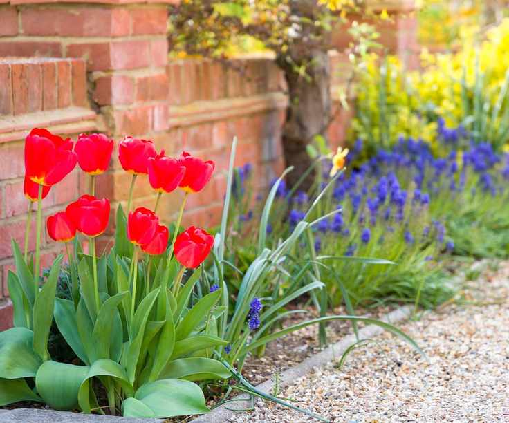 Garden flower bed or border next to a gravel driveway