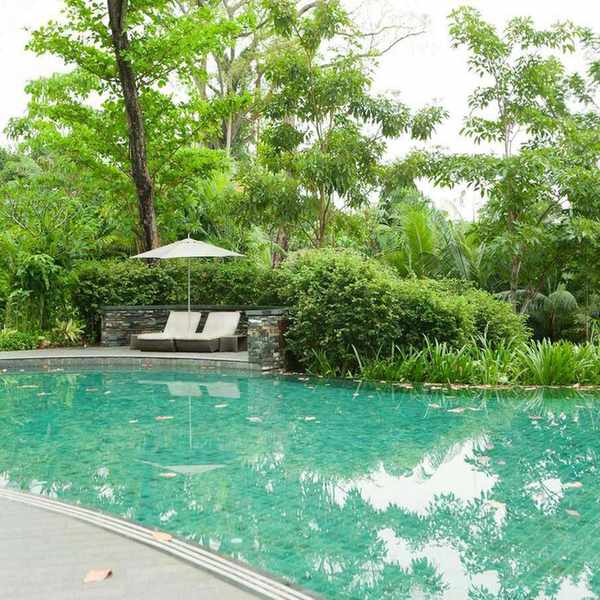 pool with leaves