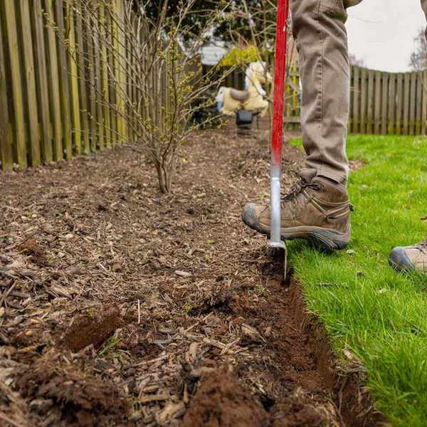 Man using an edging tool to edge mulch bed with witch hazel bush behind