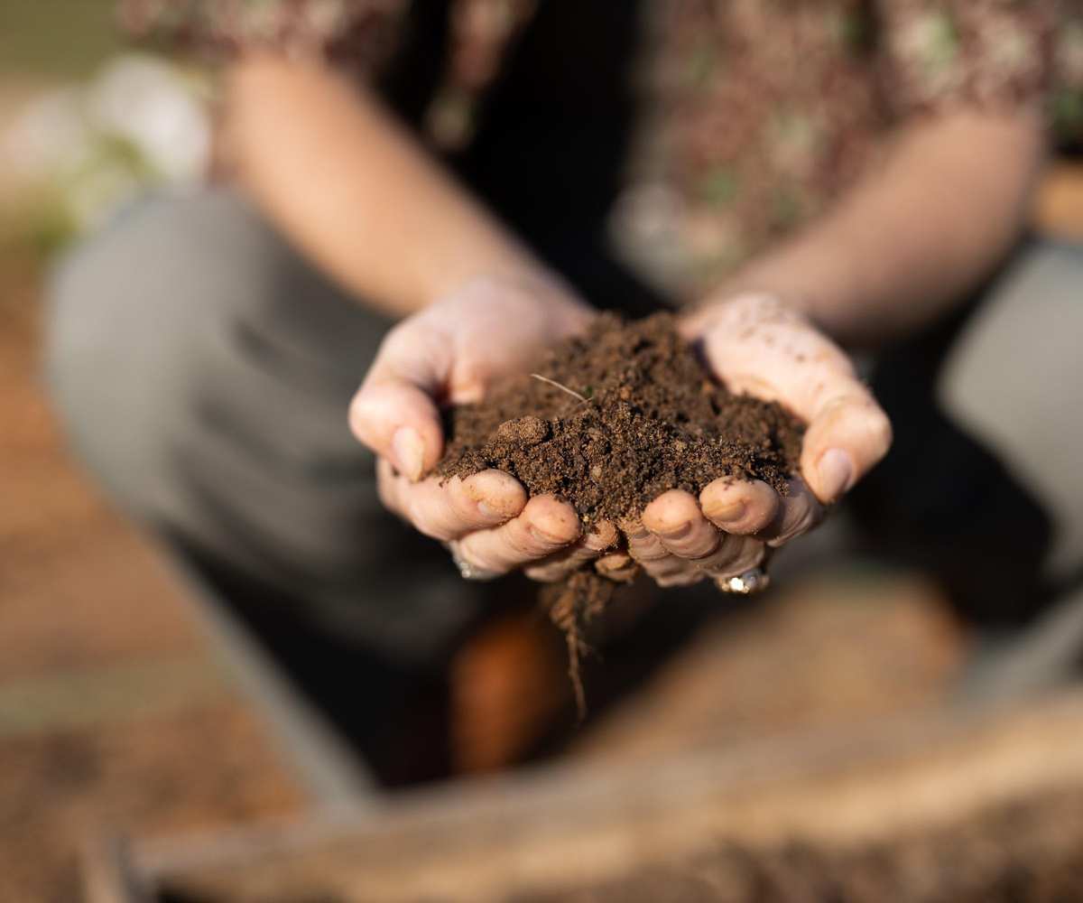 A hand holding a sample of loose loamy soil